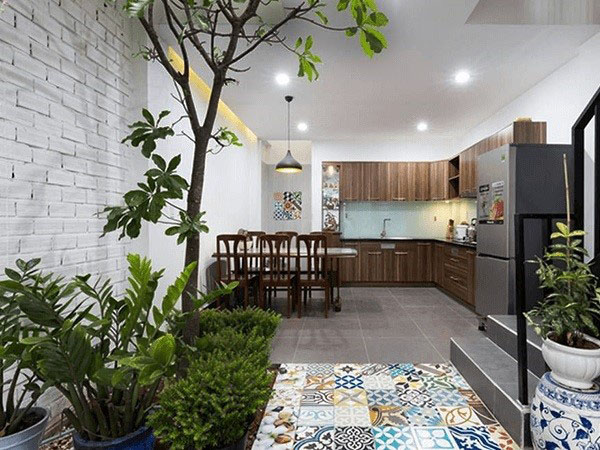 Trang trí cây xanh trong nhà Nâng tầm không gian sống