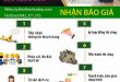 Tư vấn thiết kế cải tạo nhà TPHCM